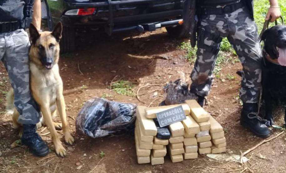 Emprego de cães de faro na região de Guarapuava resulta em maconha e materiais apreendidos
