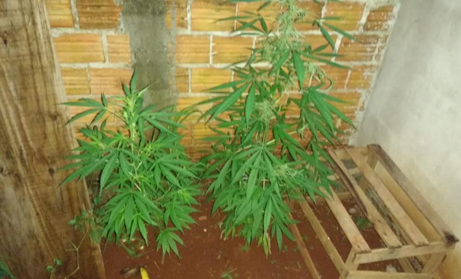 Operação Quebrada é deflagrada em Londrina e três pessoas são presas