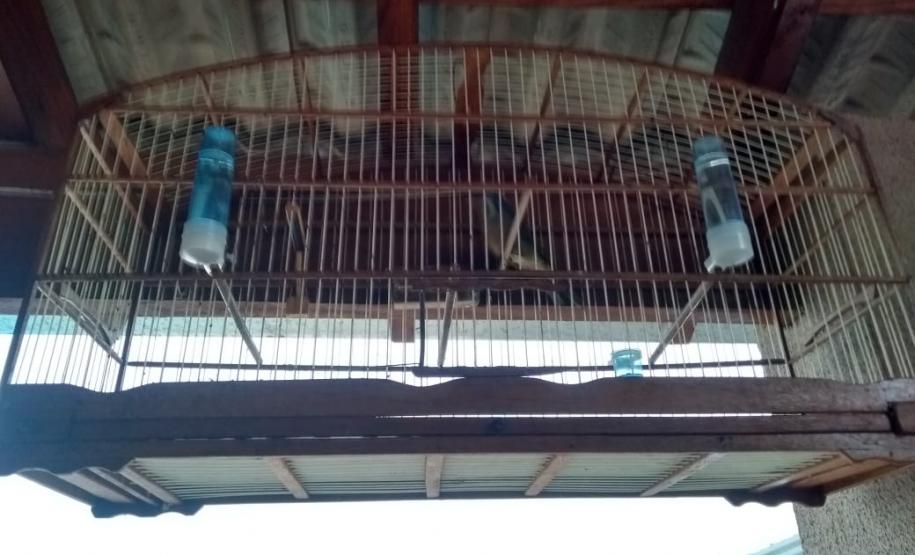 Operação Quebrada é deflagrada em Londrina e três pessoas são presas