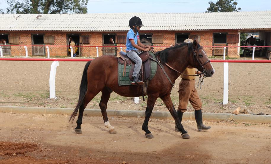 Cavalaria da PM estende serviço gratuito de Equoterapia para famílias carentes de Pinhais