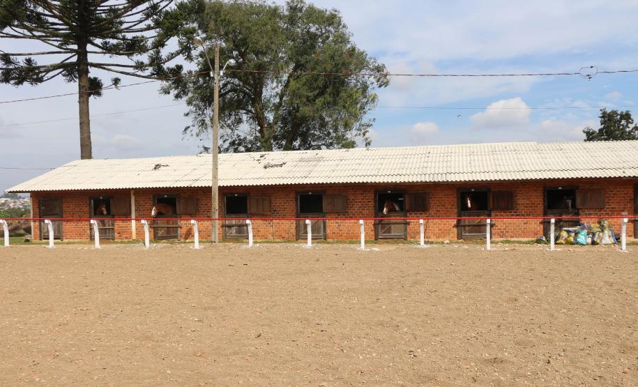 Pinhais, 05 de Abril de 2019. Inauguração Haras Palmital.