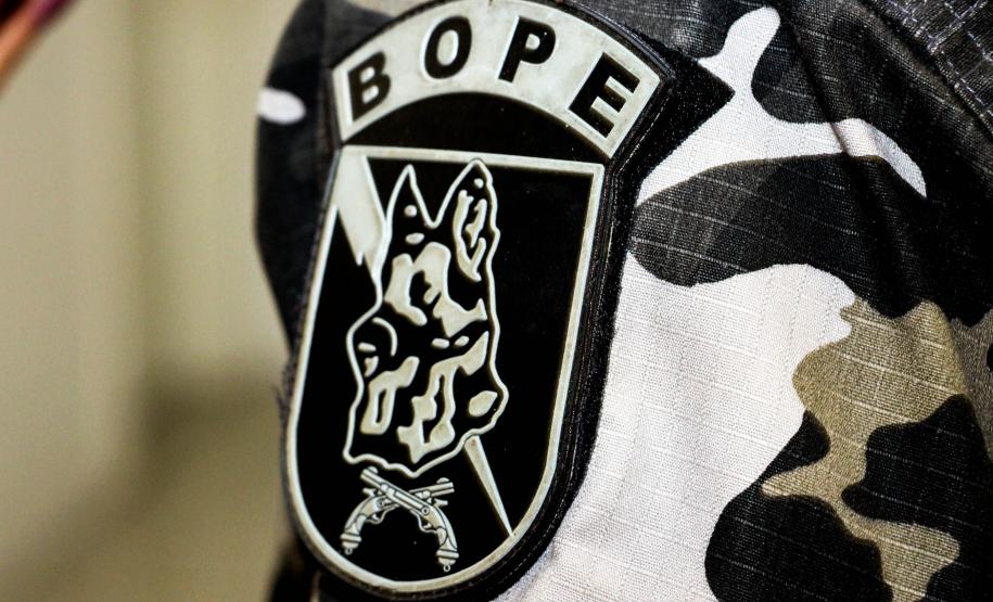 Curitiba, 17 de abril de 2019. 1º Intercâmbio Cinotécnico da PRF