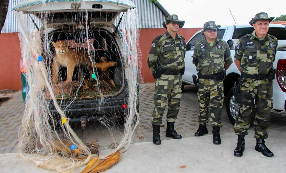 Londrina, 17 de maio de 2019. Lançamento Escola Segura em Londrina