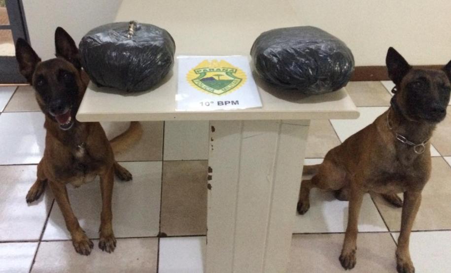 Em Apucarana (PR), PM apreende quase três quilos de Skank com adolescente Em Apucarana (PR), PM apreende quase três quilos de Skank com adolescente