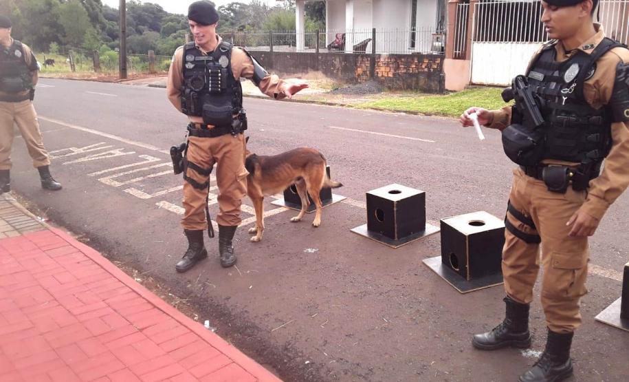 Equipe do Canil de Pato Branco (PR) faz visita à alunos de Escola Municipal União