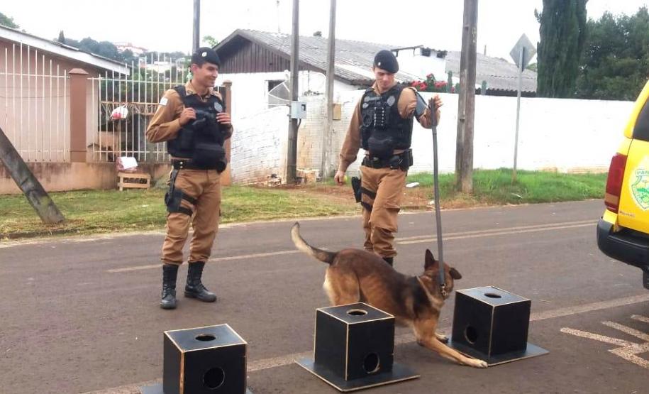 Equipe do Canil de Pato Branco (PR) faz visita à alunos de Escola Municipal União