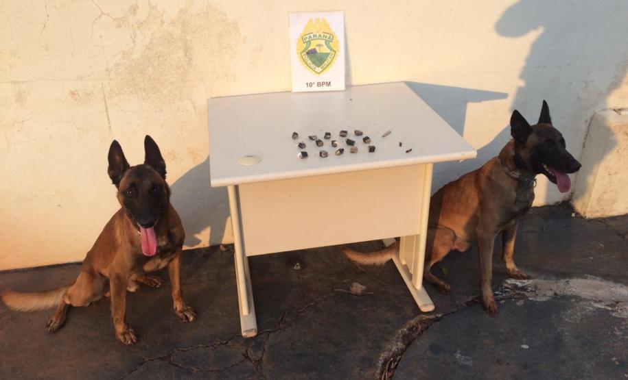 Trio é preso por porte e consumo de drogas dentro de uma chácara em Bom Sucesso (PR)