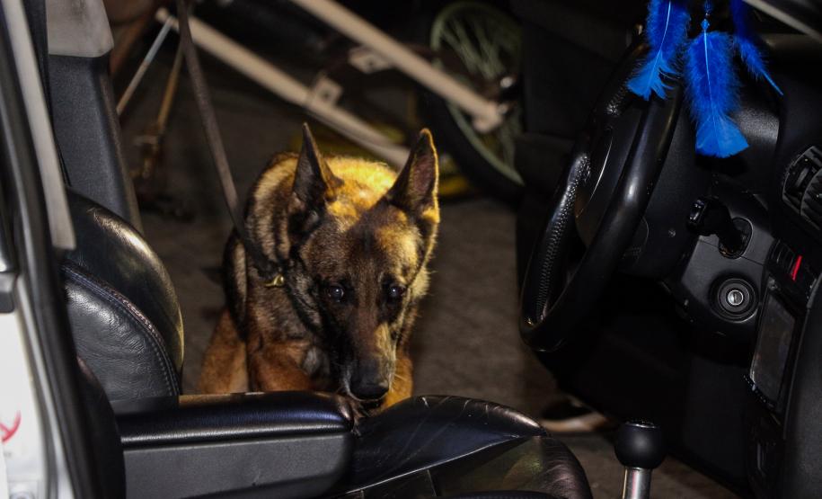 Curitiba, 13 de junho de 2019. Operação Conjunta PMPR e PCPR