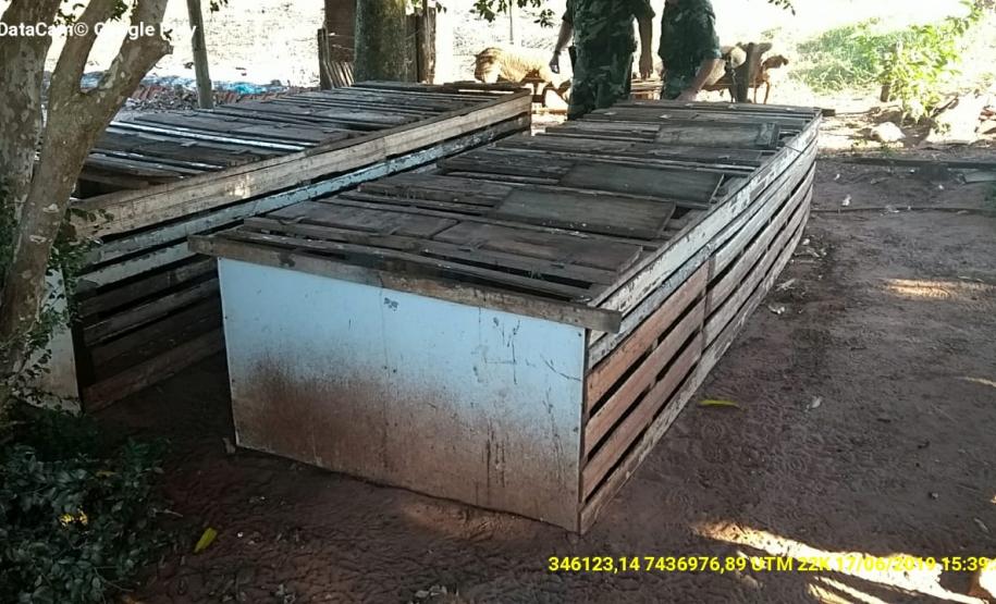 Polícia Ambiental fecha rinha de galo com 45 animais, prende proprietário e apreende duas espingardas no Oeste do estado Polícia Ambiental fecha rinha de galo com 45 animais, prende proprietário e apreende duas espingardas no Oeste do estado