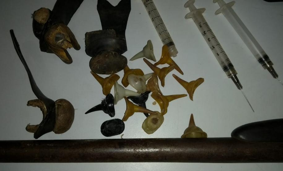 Polícia Ambiental fecha rinha de galo com 45 animais, prende proprietário e apreende duas espingardas no Oeste do estado Polícia Ambiental fecha rinha de galo com 45 animais, prende proprietário e apreende duas espingardas no Oeste do estado