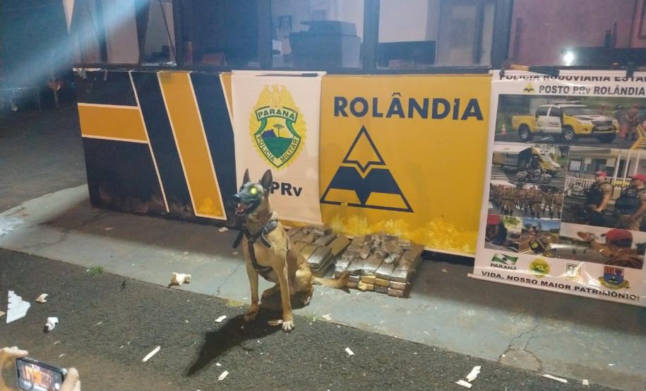 Policiais rodoviários retiram de circulação 55 quilos de maconha, que tinha como destino a cidade de São Paulo