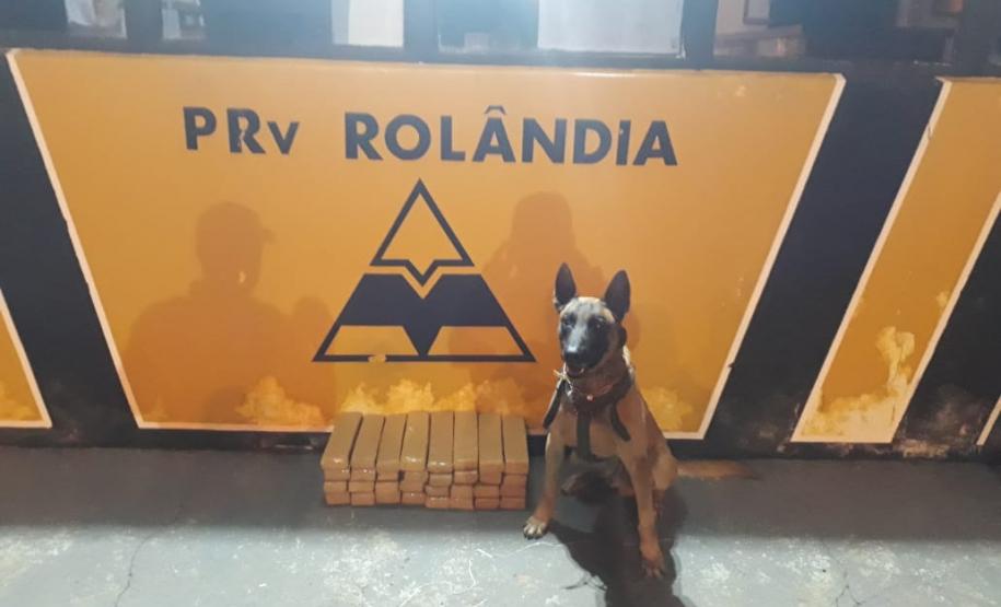 Operação Junho Paraná Sem Drogas, por meio do BPRv, retira mais 24 quilos de maconha de circulação no Norte do estado