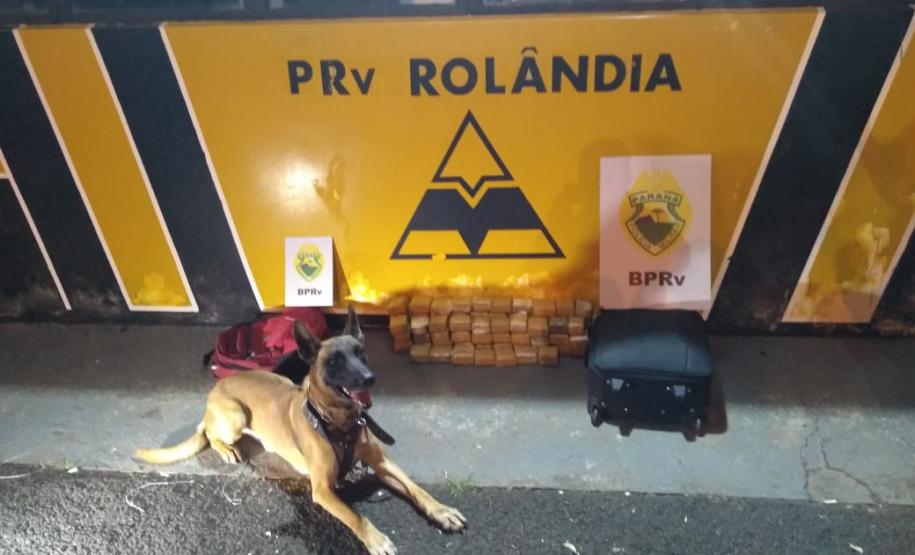 Em regiões distintas no estado, BPRv apreende mais de 36 quilos de maconha e encaminha dois homens e uma adolescente Em regiões distintas no estado, BPRv apreende mais de 36 quilos de maconha e encaminha dois homens e uma adolescente