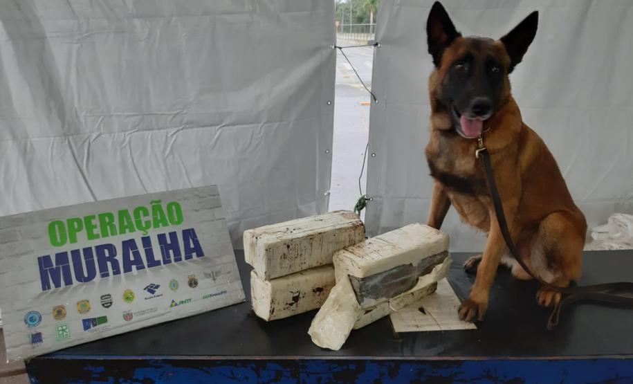Operação Muralha frustra planos de passageiros que tentavam transportar drogas em ônibus no Paraná Operação Muralha frustra planos de passageiros que tentavam transportar drogas em ônibus no Paraná