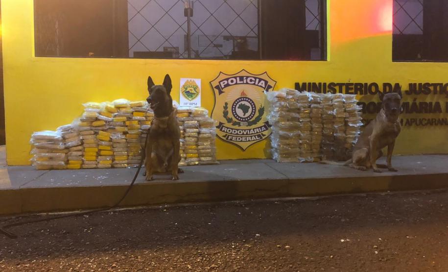 Canil do 10º Batalhão da PM localiza mais de 260 quilos de crack e cocaína em apoio à PRF Canil do 10º Batalhão da PM localiza mais de 260 quilos de crack e cocaína em apoio à PRF