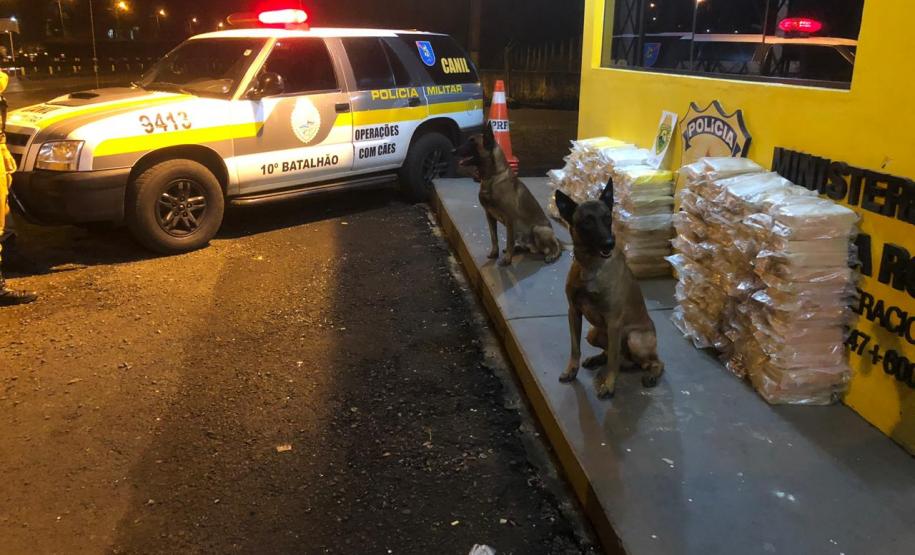 Canil do 10º Batalhão da PM localiza mais de 260 quilos de crack e cocaína em apoio à PRF Canil do 10º Batalhão da PM localiza mais de 260 quilos de crack e cocaína em apoio à PRF