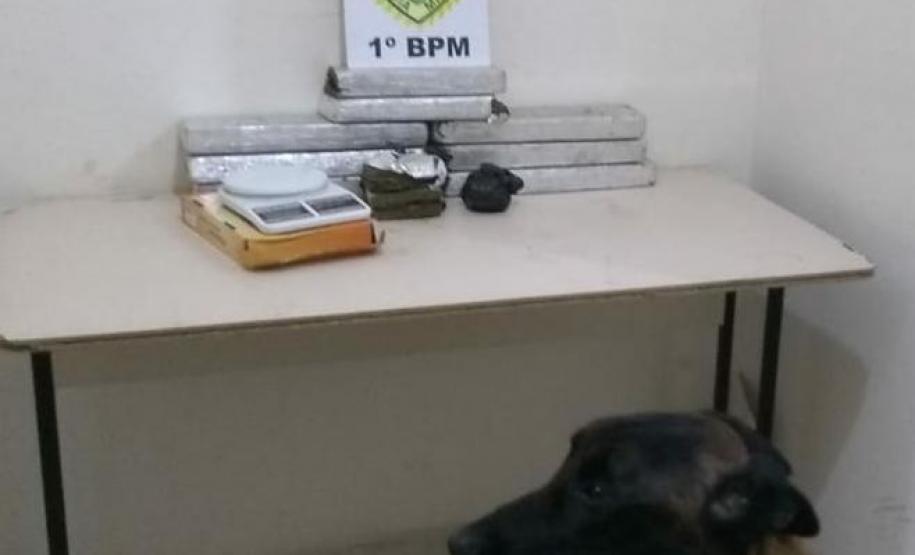 Mais de 10 quilos de maconha são apreendidos por policiais militares de Ponta Grossa (PR)