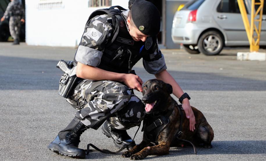 Curitiba, 04 de julho de 2019. RIC Grava no Canil e Entrevista Sd. Chuede.