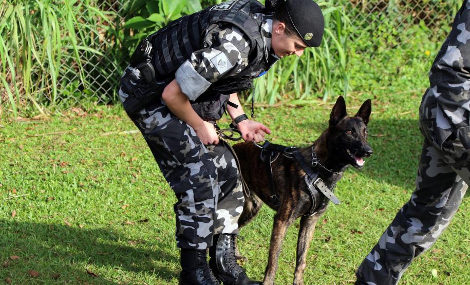 Curitiba, 04 de julho de 2019. RIC Grava no Canil e Entrevista Sd. Chuede.