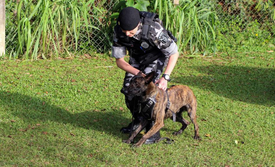 Curitiba, 04 de julho de 2019. RIC Grava no Canil e Entrevista Sd. Chuede.