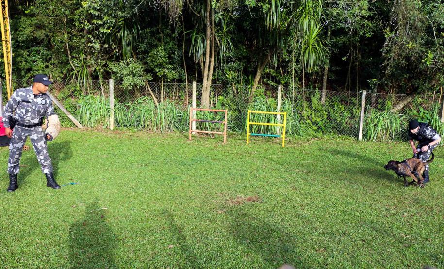 Curitiba, 04 de julho de 2019. RIC Grava no Canil e Entrevista Sd. Chuede.