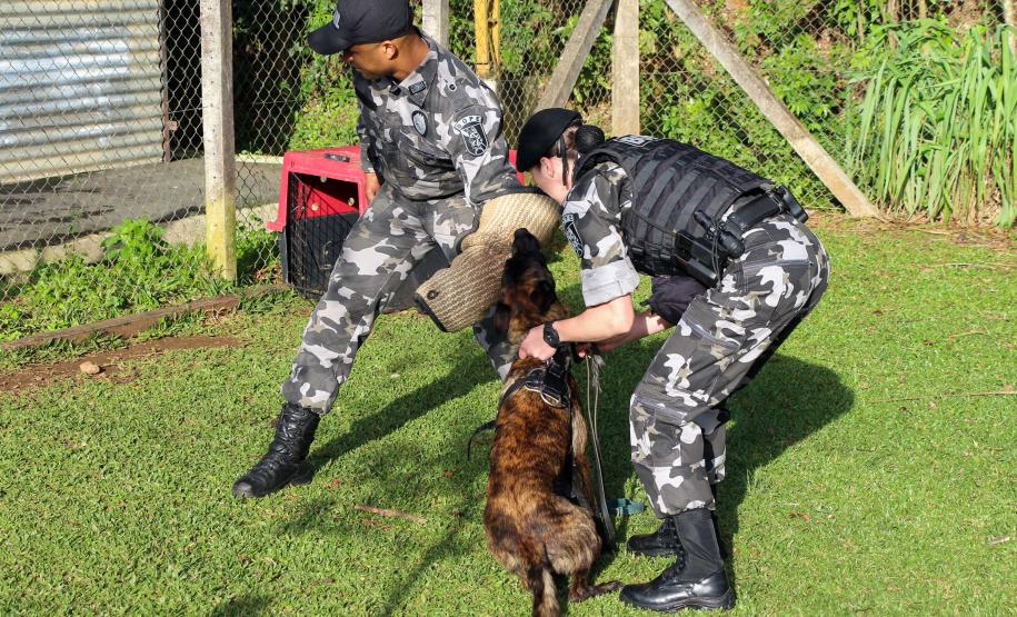 Curitiba, 04 de julho de 2019. RIC Grava no Canil e Entrevista Sd. Chuede.