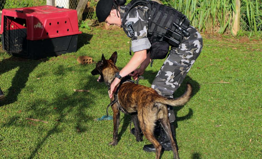 Curitiba, 04 de julho de 2019. RIC Grava no Canil e Entrevista Sd. Chuede.