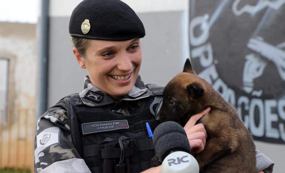 Curitiba, 04 de julho de 2019. RIC Grava no Canil e Entrevista Sd. Chuede.
