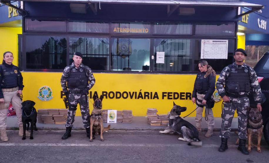 BOPE e PRF evitam que 82 quilos de maconha cheguem a Curitiba ao abordar ônibus de linha em São Luiz do Purunã (PR) BOPE e PRF evitam que 82 quilos de maconha cheguem a Curitiba ao abordar ônibus de linha em São Luiz do Purunã (PR)