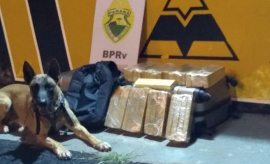 Em operações diferentes, BPRv apreende maconha e diversos cosméticos sem procedência legal em Rolândia (PR)