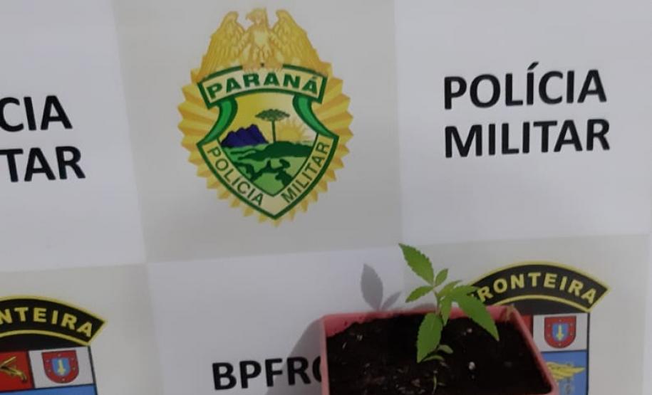 Em ações distintas, BPFron apreende duas armas de fogo e maconha no Oeste do estado