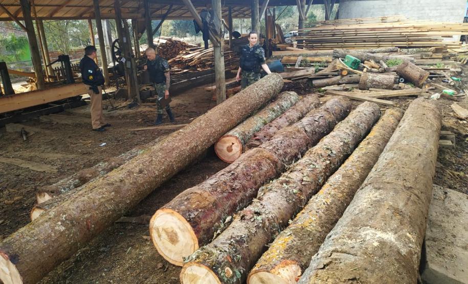 Batalhão da PM deflagra Operação Pinheiros I e localiza madeira de araucária
