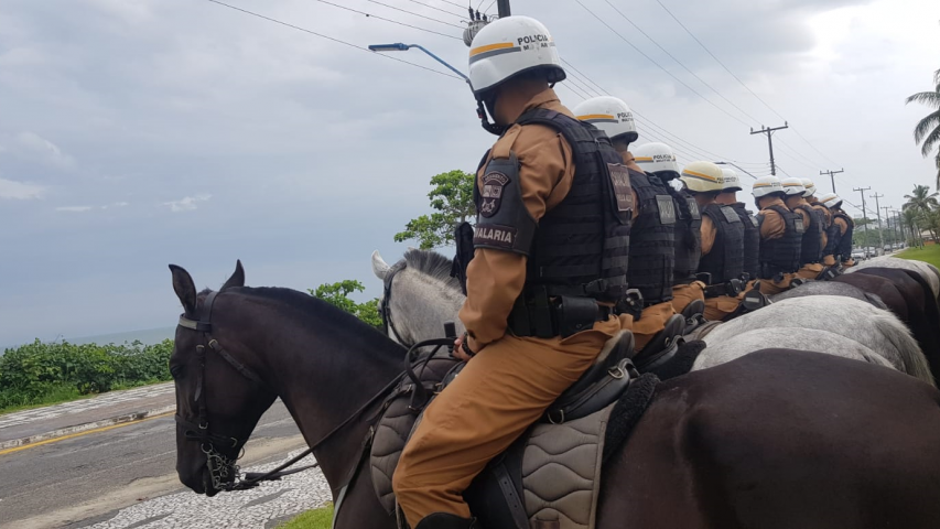 Conheça um pouco mais sobre a Cavalaria da Polícia Militar - SSP